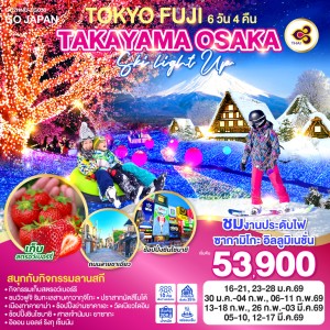 ทัวร์ญี่ปุ่น โตเกียว มัตสึโมโต้ ทาคายาม่า นาโกย่า สกีรีสอร์ท 6วัน 4คืน บิน TG