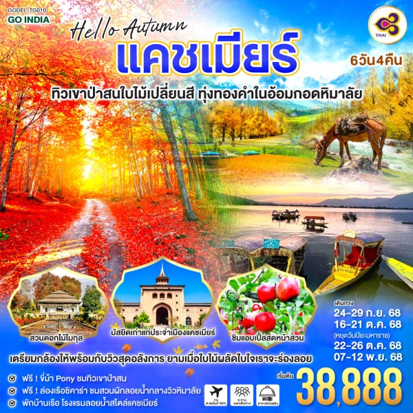 ทัวร์อินเดีย ศรีนาคา อัครา แคชเมียร์ ทุ่งดอกเซฟฟรอน 6วัน 4คืน บิน TG