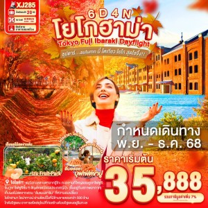 ทัวร์ญี่ปุ่น โตเกียว โยโกฮามะ (ซุปตาร์ autumn นี้ โตเกียว โยโก สุดโซจึ้ง) 6วัน 4คืน บิน XJ