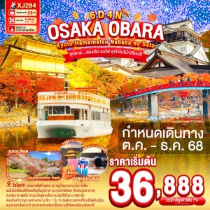 ทัวร์ญี่ปุ่น โอซาก้า เกียวโต นาโกย่า (ซุปตาร์ ล่องเรือ ชมไฟ สุขใจใบไม้เปลี่ยนสี) 6วัน 4คืน บิน XJ