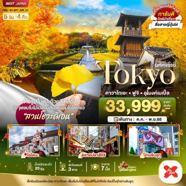 ทัวร์ญี่ปุ่น โตเกียว คาวาโกเอะ ฟูจิ อุโมงค์เมเปิ้ล 5วัน 4คืน บิน XJ