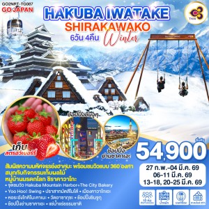 ทัวร์ญี่ปุ่น โตเกียว นาโกย่า มัตสึโมโต้ คาวาโกเอะ Hakuba Mountain Harbor 6วัน 4คืน บิน TG