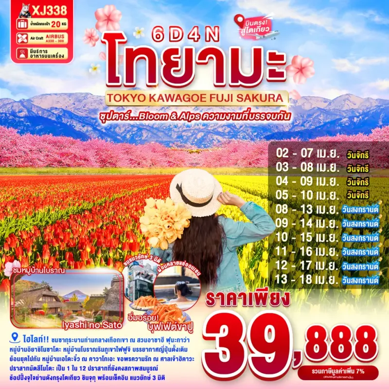 ทัวร์ญี่ปุ่น โตเกียว (ซุปตาร์ Bloom & Alps ความงามที่บรรจบกัน) 6วัน 4คืน บิน XJ
