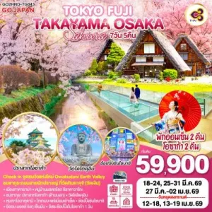 ทัวร์ญี่ปุ่น โตเกียว โอซาก้า เกียวโต ทาคายาม่า ชมซากุระ 7วัน 5คืน บิน TG