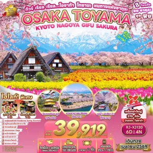 ทัวร์ญี่ปุ่น โอซาก้า เกียวโต นาโกย่า (เรียล โอซาก้า โทยามะ หนทางแห่งซากุระ) 6วัน 4คืน บิน XJ