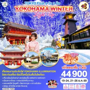 ทัวร์ญี่ปุ่น โตเกียว เทศกาลประดับไฟ คาวากุจิโกะ 6วัน 3คืน บิน TG