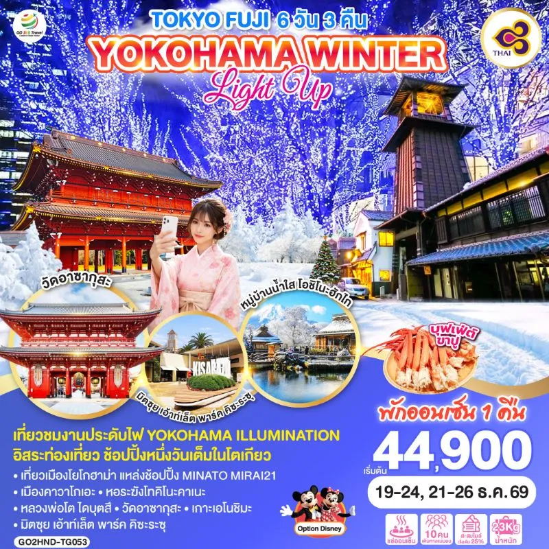 ทัวร์ญี่ปุ่น โตเกียว เทศกาลประดับไฟ คาวากุจิโกะ 6วัน 3คืน บิน TG
