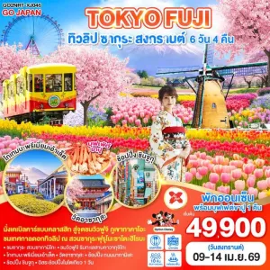 ทัวร์ญี่ปุ่น โตเกียว เทศกาลดอกทิวลิป เทศกาลซากุระ 6วัน 4คืน บิน XJ