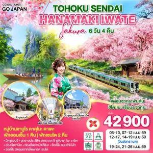 ทัวร์ญี่ปุ่น เซนได ชมซากุระ แช่ออนเซ็น 6วัน 4คืน บิน XJ