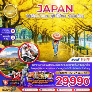 ทัวร์ญี่ปุ่น โตเกียว ฮาเนดะ ฟูจิ โอไดบะ ชมแปะก๊วย (เที่ยวอิสระ 1 วัน) 6วัน 4คืน บิน NH