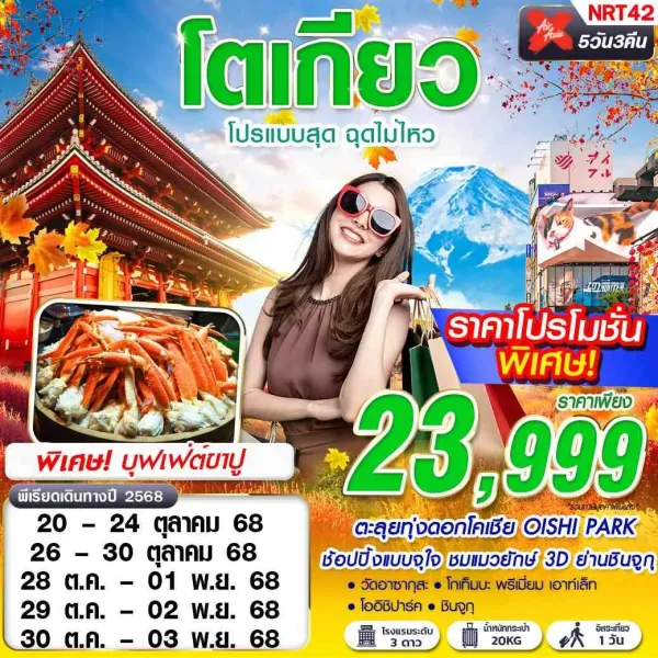 ทัวร์ญี่ปุ่น โตเกียว นาริตะ ทุ่งดอกโคเชีย 5วัน 3คืน บิน XJ