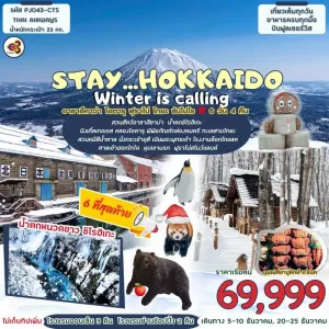 ทัวร์ญี่ปุ่น ฮอกไกโด โอตารุ ซัปโปโร (STAY HOKKAIDO WINTER IS CALLING) 6วัน 4คืน บิน TG