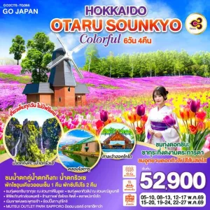 ทัวร์ญี่ปุ่น ฮอกไกโด ซัปโปโร โอตารุ (HOKKAIDO OTARU SOUNKYO COLORFUL) 6วัน 4คืน บิน TG
