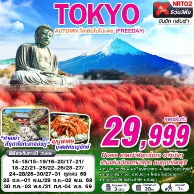 ญี่ปุ่น โตเกียว คามาคุระ ฟูจิ ดอกโคเชีย (TOKYO AUTUMN โคเชียใบไม้แดง) 5วัน 3คืน บิน XJ