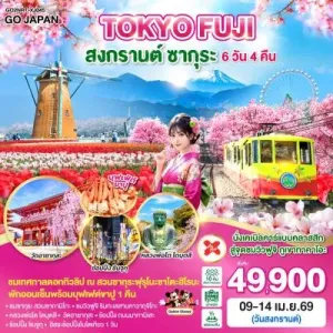 ทัวร์ญี่ปุ่น โตเกียว คาวากุจิโกะ เทศกาลดอกทิวลิป ชมซากุระ 6วัน 4คืน บิน XJ
