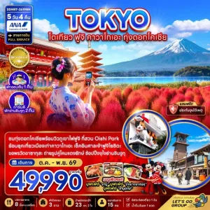 ทัวร์ญี่ปุ่น โตเกียว ฟูจิ คาวาโกเอะ ทุ่งดอกโคเชีย 5วัน 4คืน บิน NH