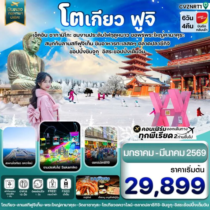 ทัวร์ญี่ปุ่น โตเกียว ฟูจิ งานประดับไฟ [JAN-MAR] 6วัน 4คืน บิน VZ