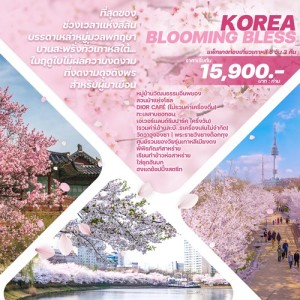 ทัวร์เกาหลี KBB2024  โซล สวนสนุกEVERLAND ชมซากุระ เมียงดง (KOREA BLOOMING BLESS) [MAR-MAY] 5วัน 3คืน บิน JEJU AIR