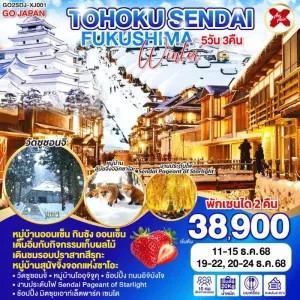 ทัวร์ญี่ปุ่น เซนได งานประดับไฟ Sendai Pageant of Starlight 5วัน 3คืน บิน XJ