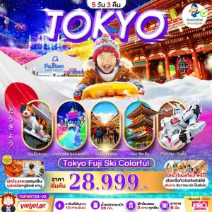 ทัวร์ญี่ปุ่น โตเกียว นาริตะ สกีรีสอร์ท อิสระเต็มวัน 5วัน 3คืน บิน VZ
