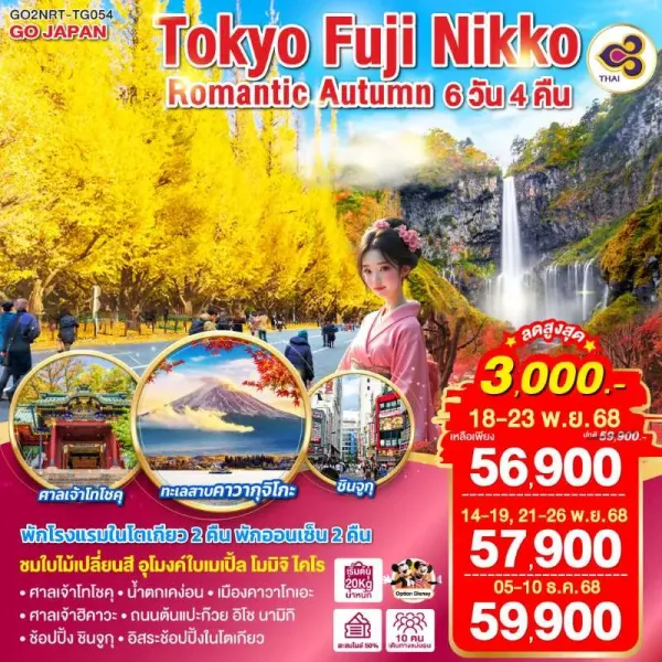 ทัวร์ญี่ปุ่น โตเกียว นิกโก้ คาวาโกเอะ อุโมงค์ใบเมเปิ้ล โมมิจิ ไคโร อิสระเต็มวัน 6วัน 4คืน บิน TG