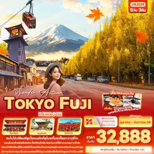 ทัวร์ญี่ปุ่น โตเกียว คาวาโกเอะ ฟูจิ ใบไม้เปลี่ยนสี เมจิจิงกูไกเอ็น 5วัน 3คืน บิน XJ