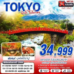 ทัวร์ญี่ปุ่น โตเกียว (TOKYO นิกโก้ ใบไม้แดง) [NOV] 5วัน 3คืน บิน XJ