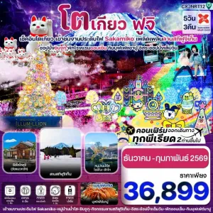 ทัวร์ญี่ปุ่น โตเกียว ฟูจิ งานประดับไฟซากามิโกะ [DEC25-JAN26] 5วัน 3คืน บิน XJ