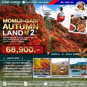 ทัวร์ญี่ปุ่น นาโกย่า โตเกียว (MOMIJI-GARI AUTUMNLAND NO.2) [NOV] 6วัน 4คืน บิน TG