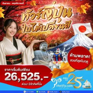 ทัวร์ญี่ปุ่น โตเกียว ฮาโกเน่ ใบไม้เปลี่ยนสี 5วัน 3คืน บิน XJ