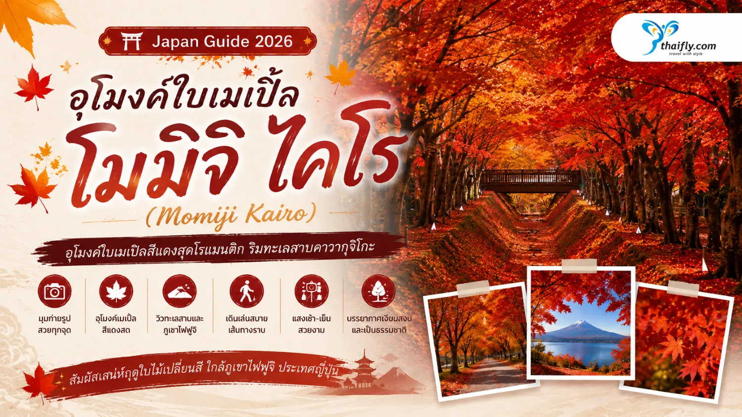 อุโมงค์ใบเมเปิ้ลโมมิจิ ไคโร ชมอุโมงค์สีแดงทองริมทะเลสาบคาวากุจิโกะ