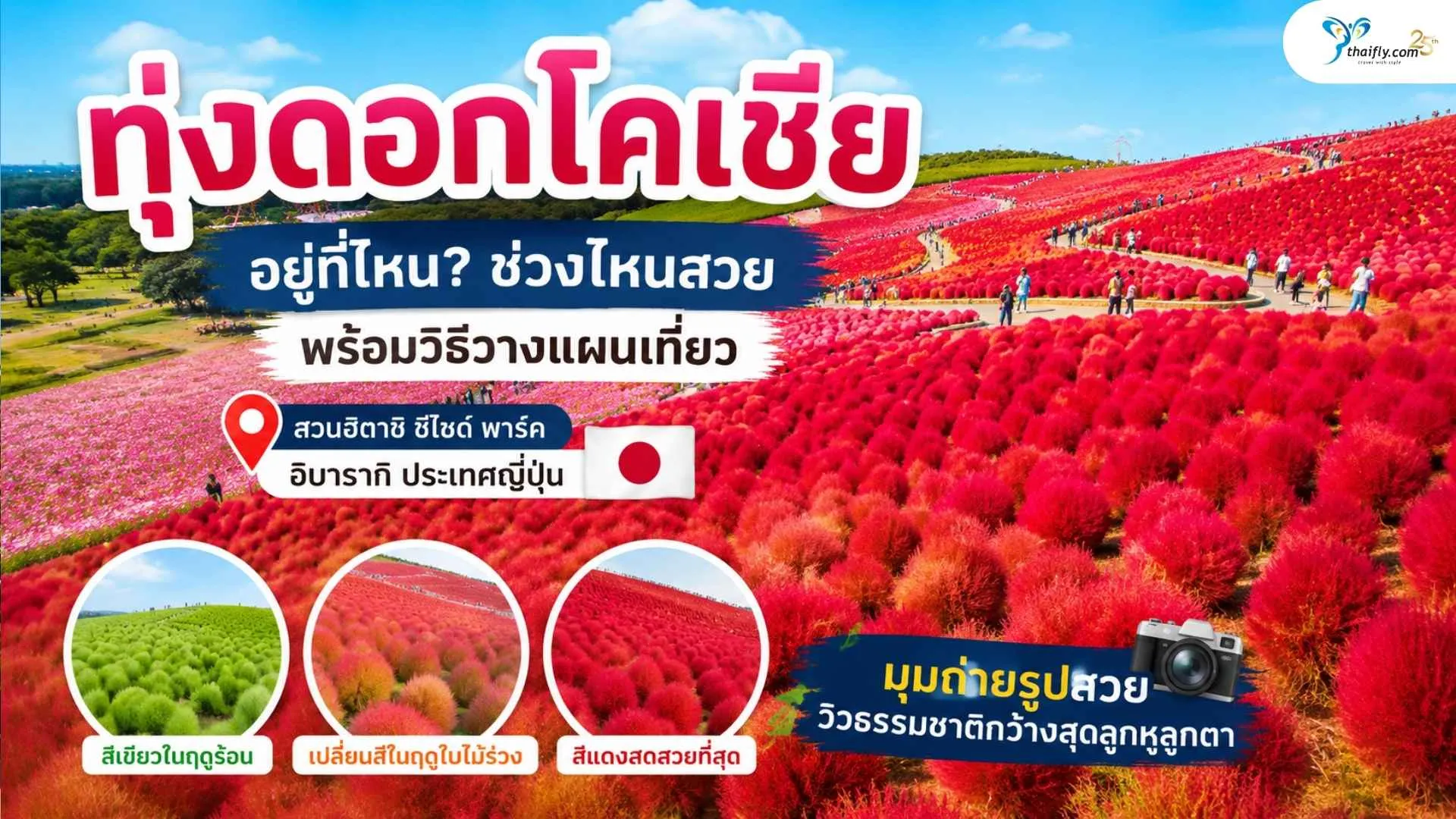 kochia