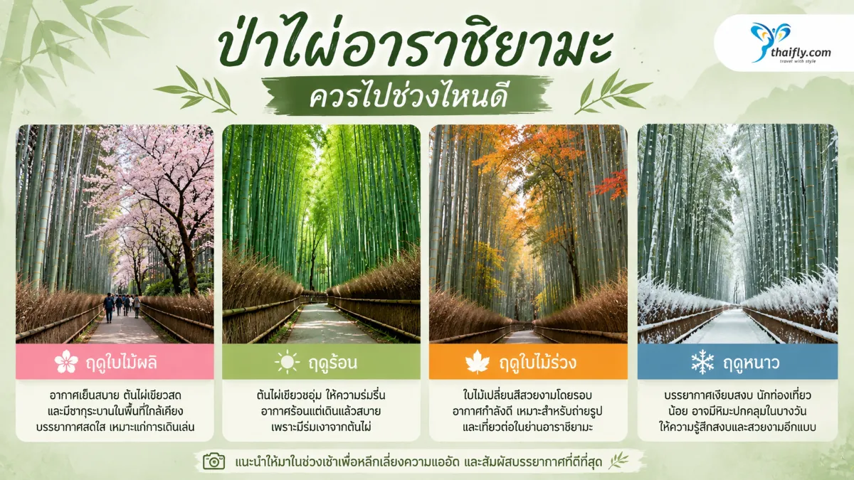 ป่าไผ่อาราชิยามะควรไปช่วงไหนดี?