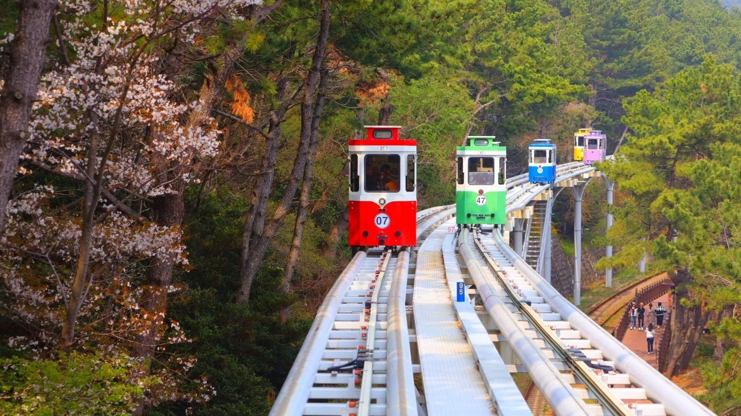 รถไฟสกายแคปซูล ปูซาน คืออะไร และทำไมถึงน่าสนใจ
