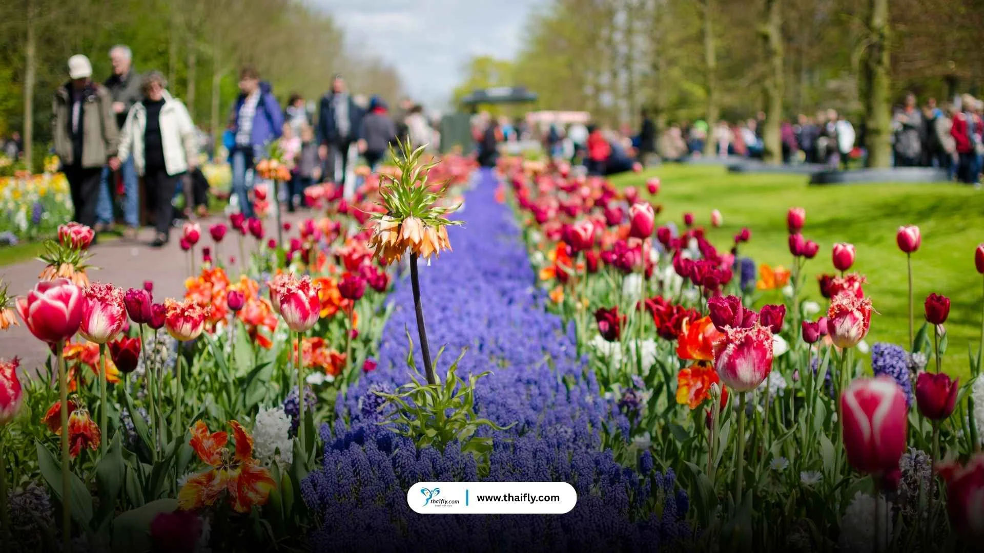 สัญลักษณ์สำคัญของเนเธอร์แลนด์