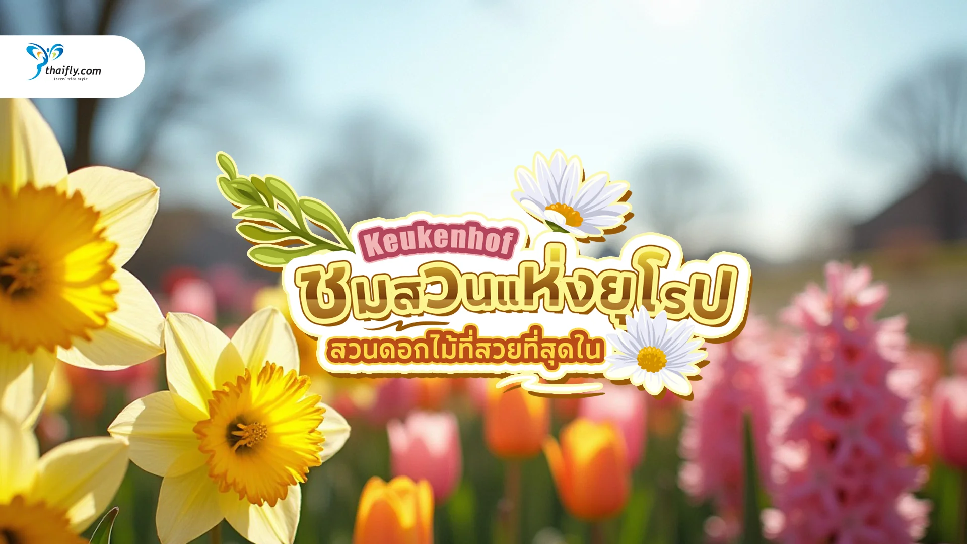 ชมสวนแห่งยุโรป Keukenhof สวนดอกไม้ที่สวยที่สุดในเนเธอร์แลนด์