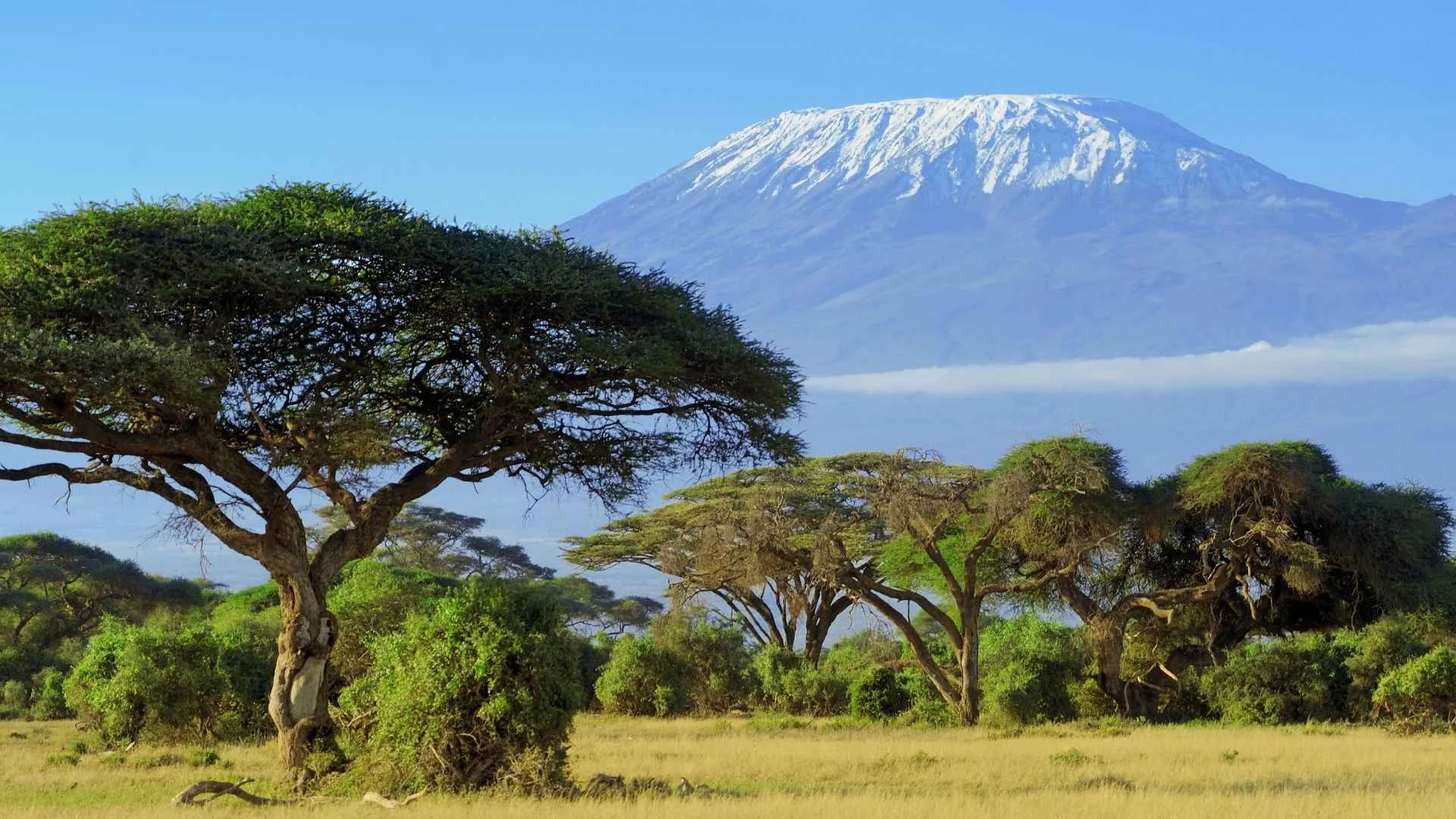 คิลิมันจาโรคืออะไร?