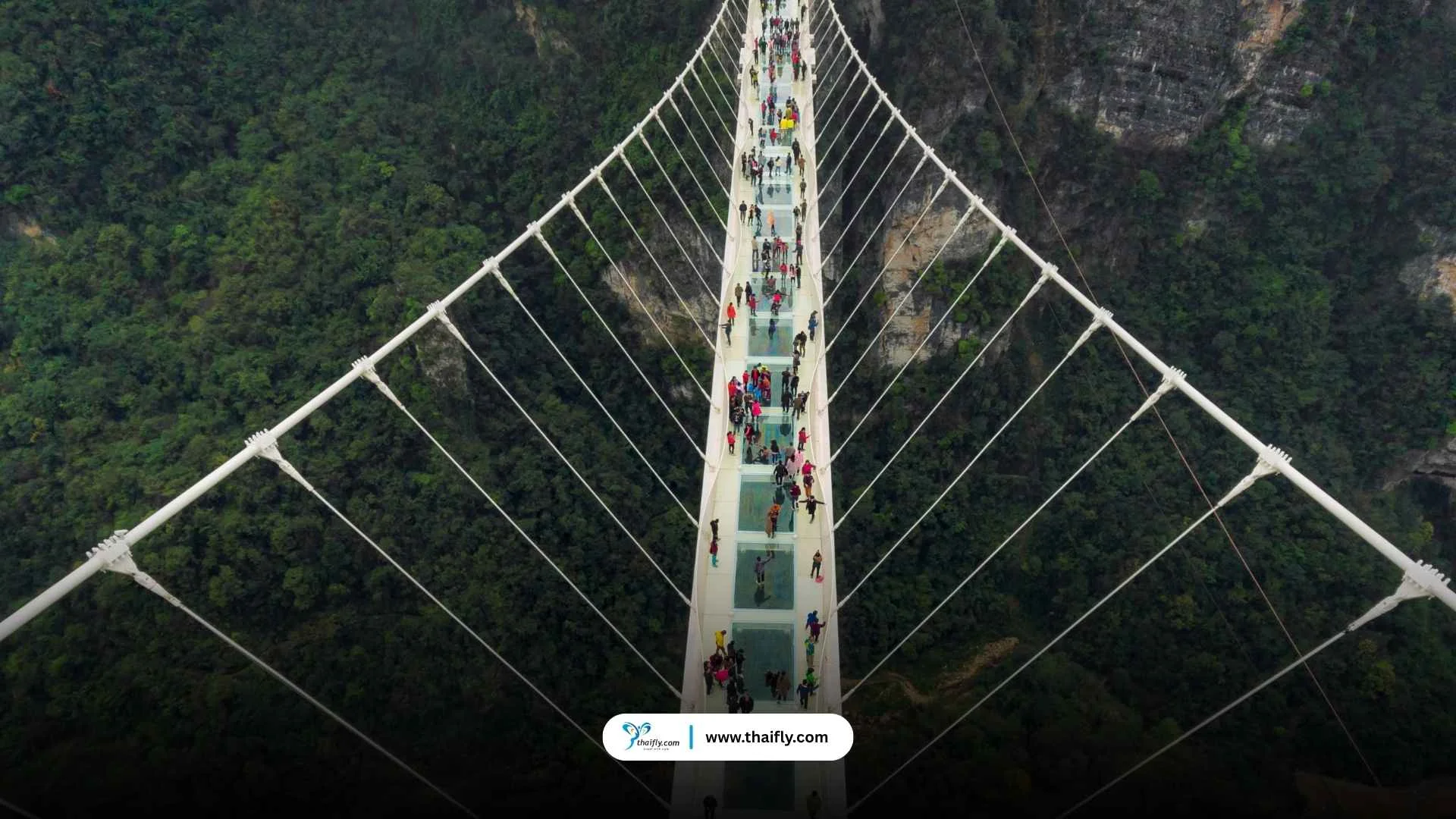สะพานกระจกจางเจียเจี้ย  (Zhangjiajie Glass Bridge)  สะพานลอยฟ้าสุดหวาดเสียวแห่งแดนมังกร