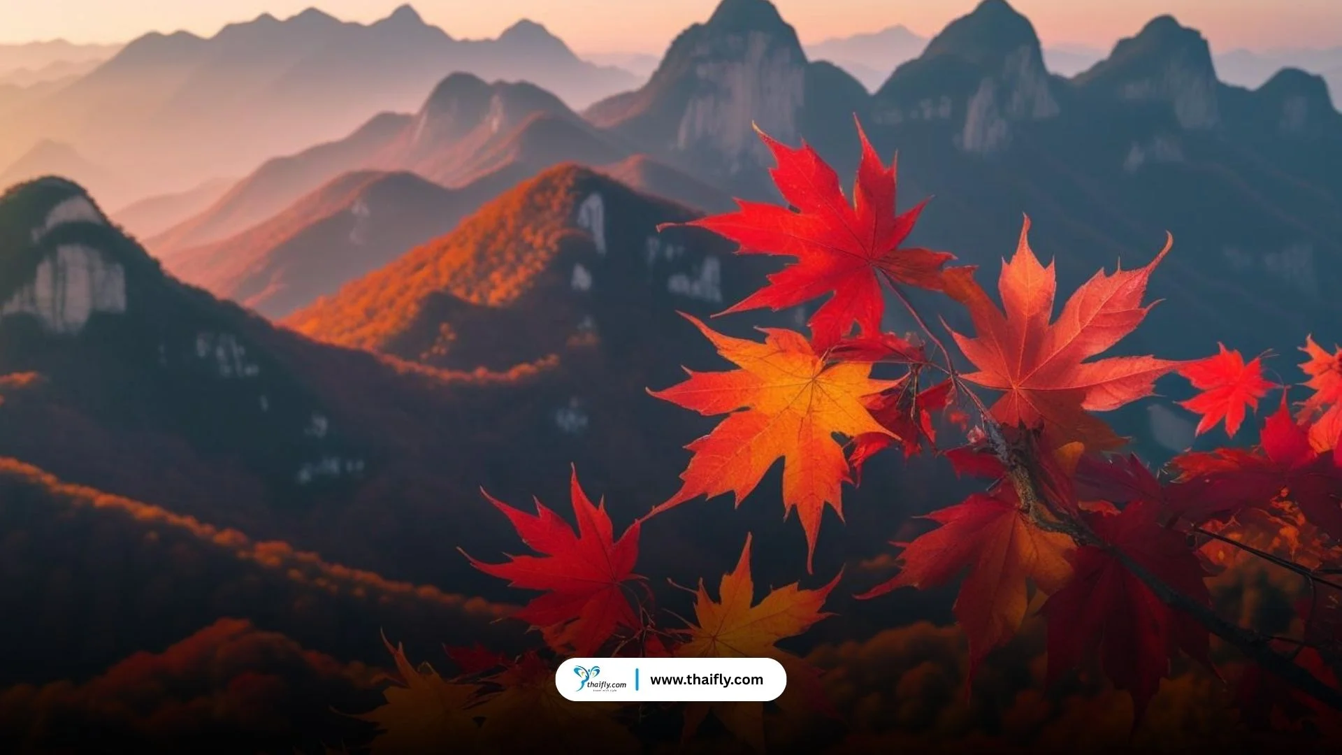 ภูเขาหวงซาน (Huangshan)