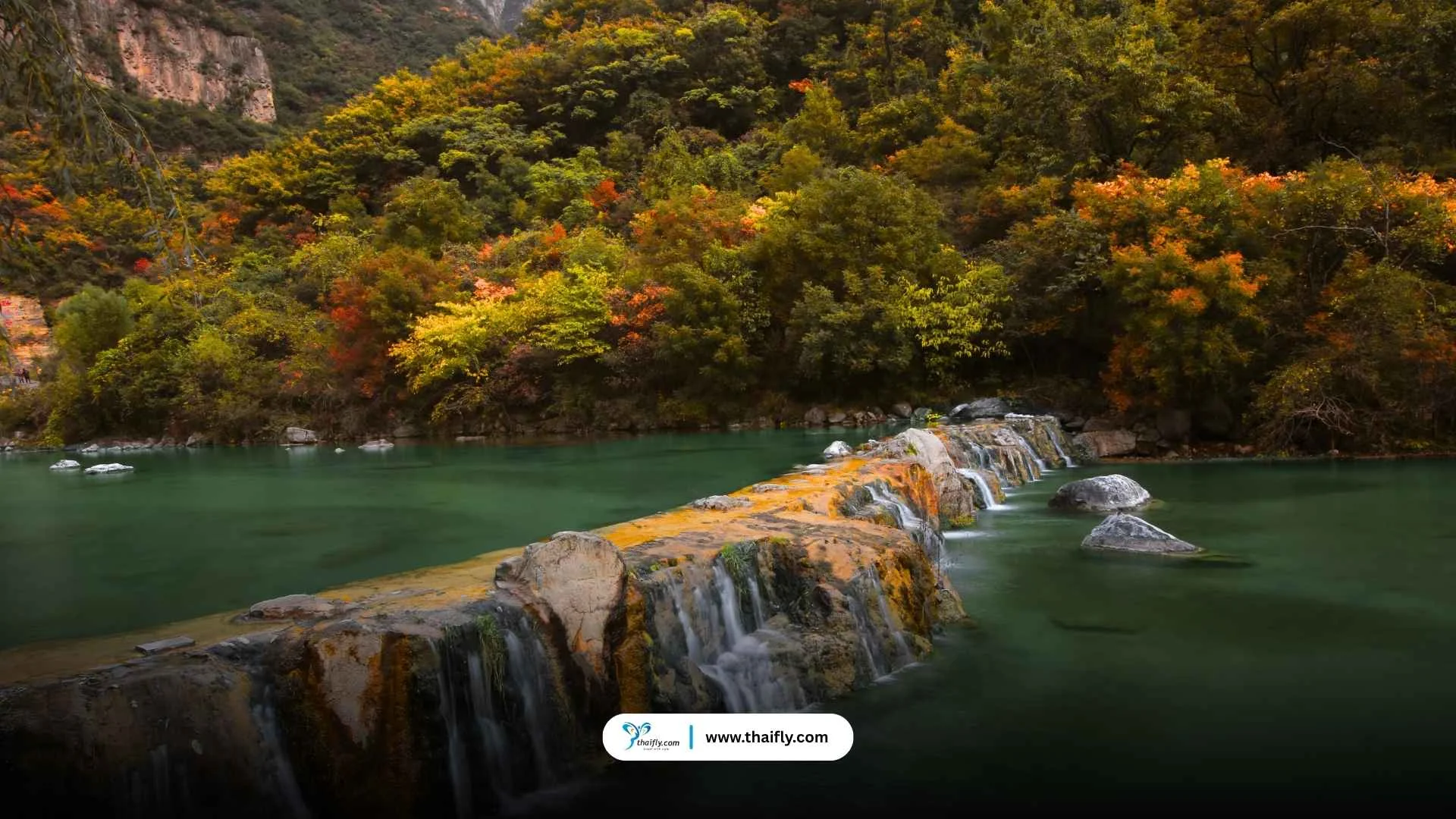 ป่าหยุนไถซาน (Yuntaishan)