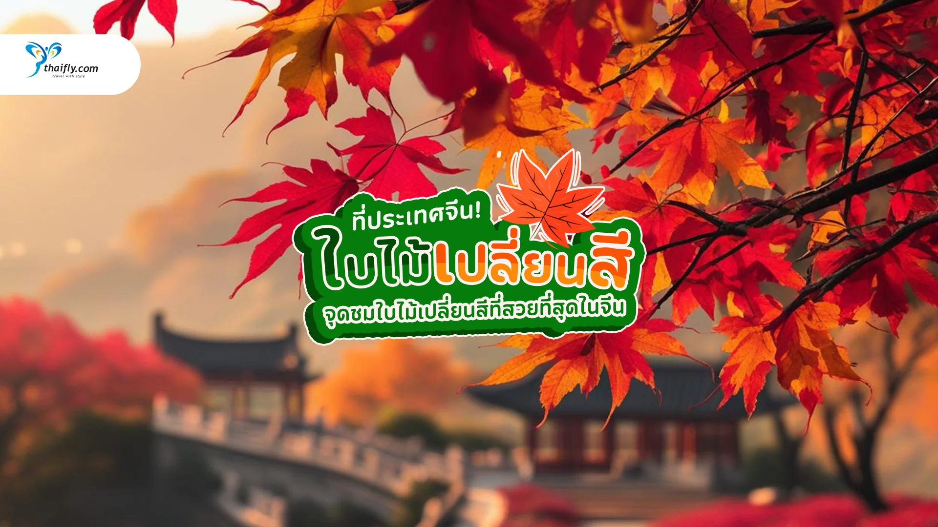 ใบไม้เปลี่ยนสี จีน ช่วงเวลาที่งดงามที่สุดของปี เที่ยวที่ไหนดี?