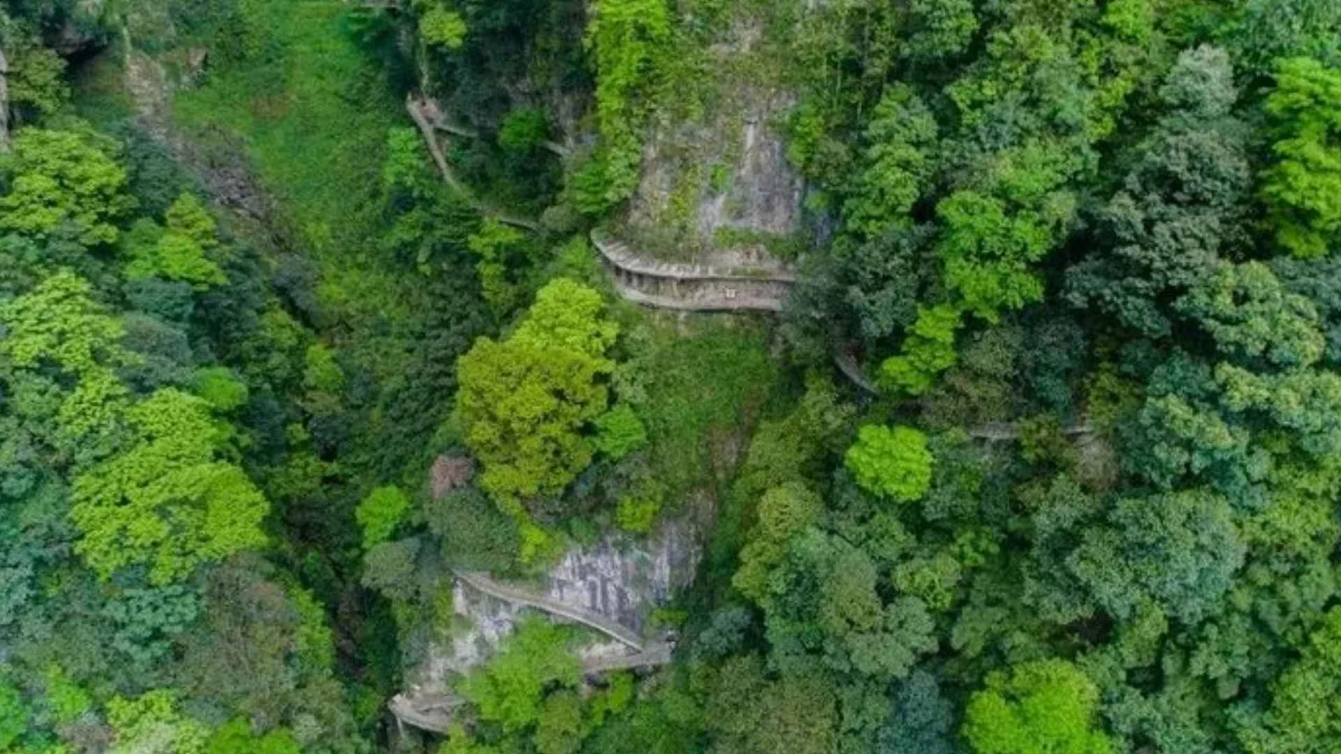 เทือกเขาจินฝอ (Jinfo Mountain)