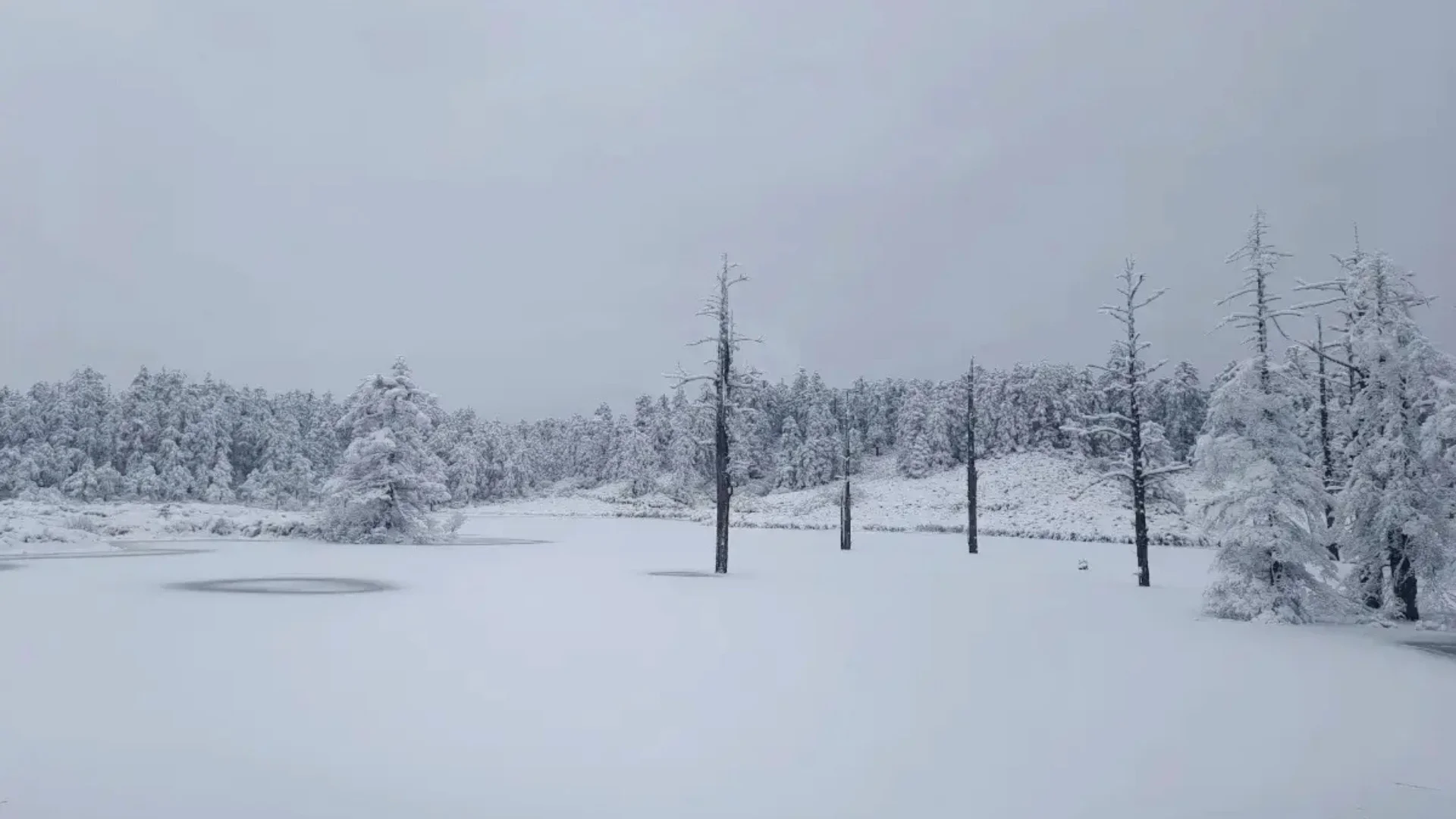 ทะเลสาบบนภูเขาหิมะวาวู่ (Lake on Wawu Snow Mountain)