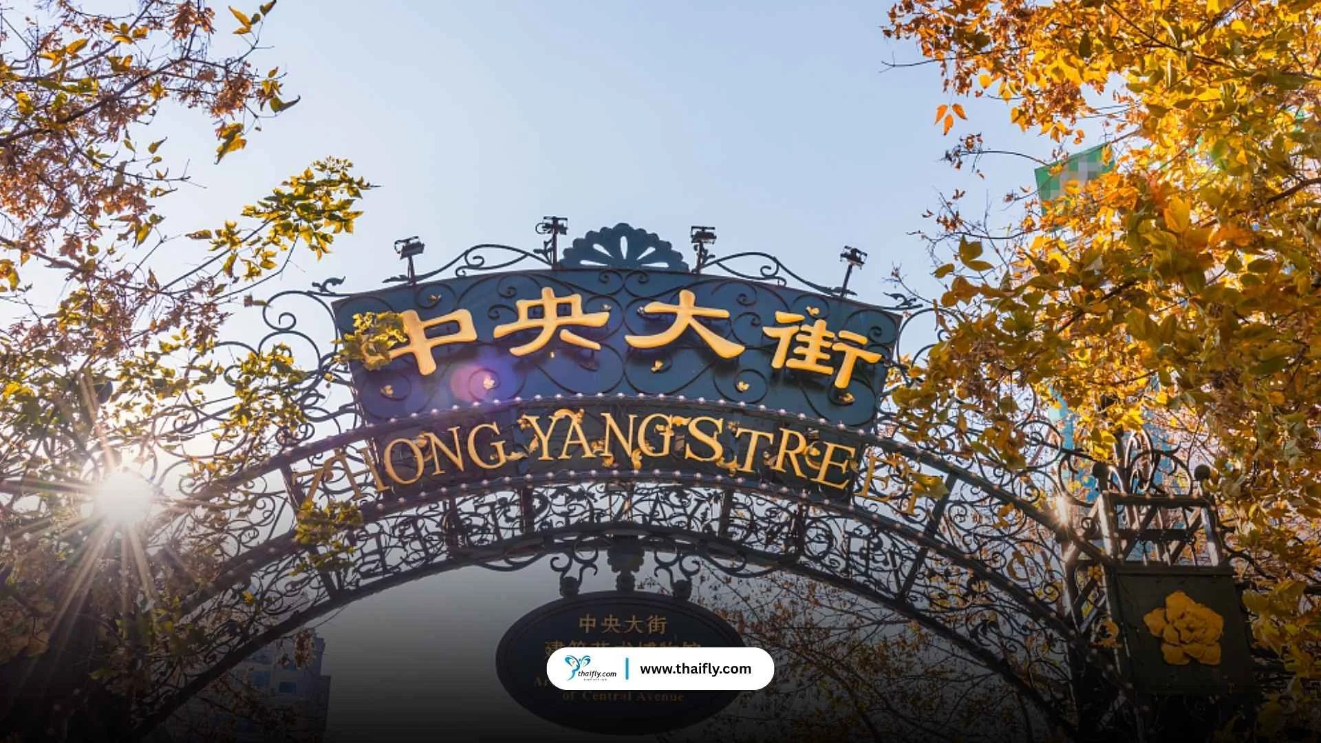 ถนนกลางเมือง (Central Street / Zhongyang Dajie)