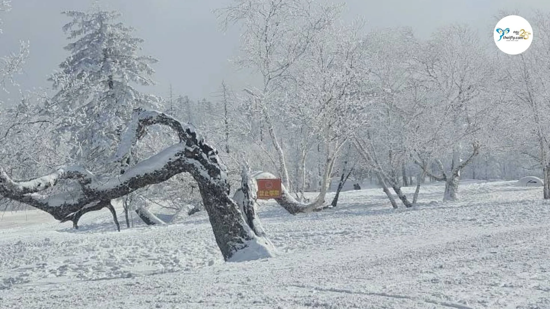 ภาพเขียนสิบลี้ – Ice & Snow Gallery (Ten-Mile Gallery)