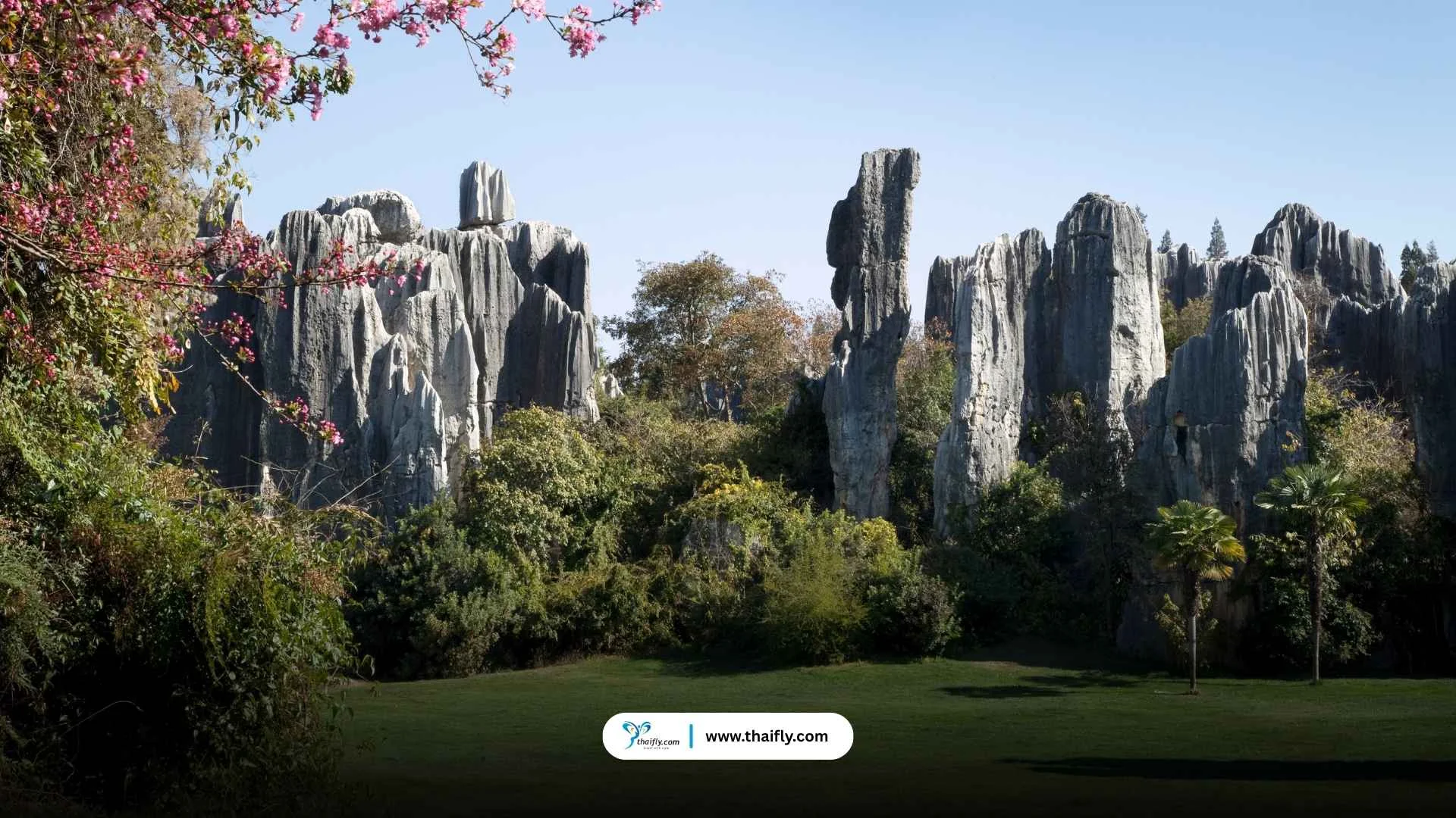 สวนหินแปลก (Stone Forest - 石林)