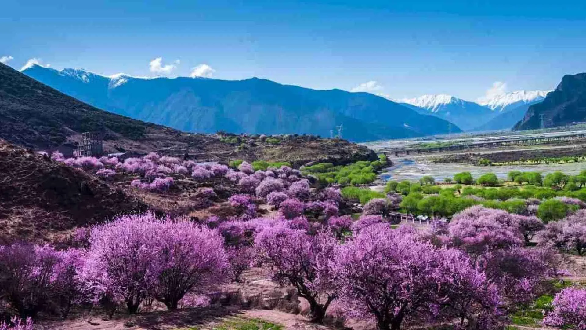 หุบเขาดอกท้อ (Peach Blossom Valley)