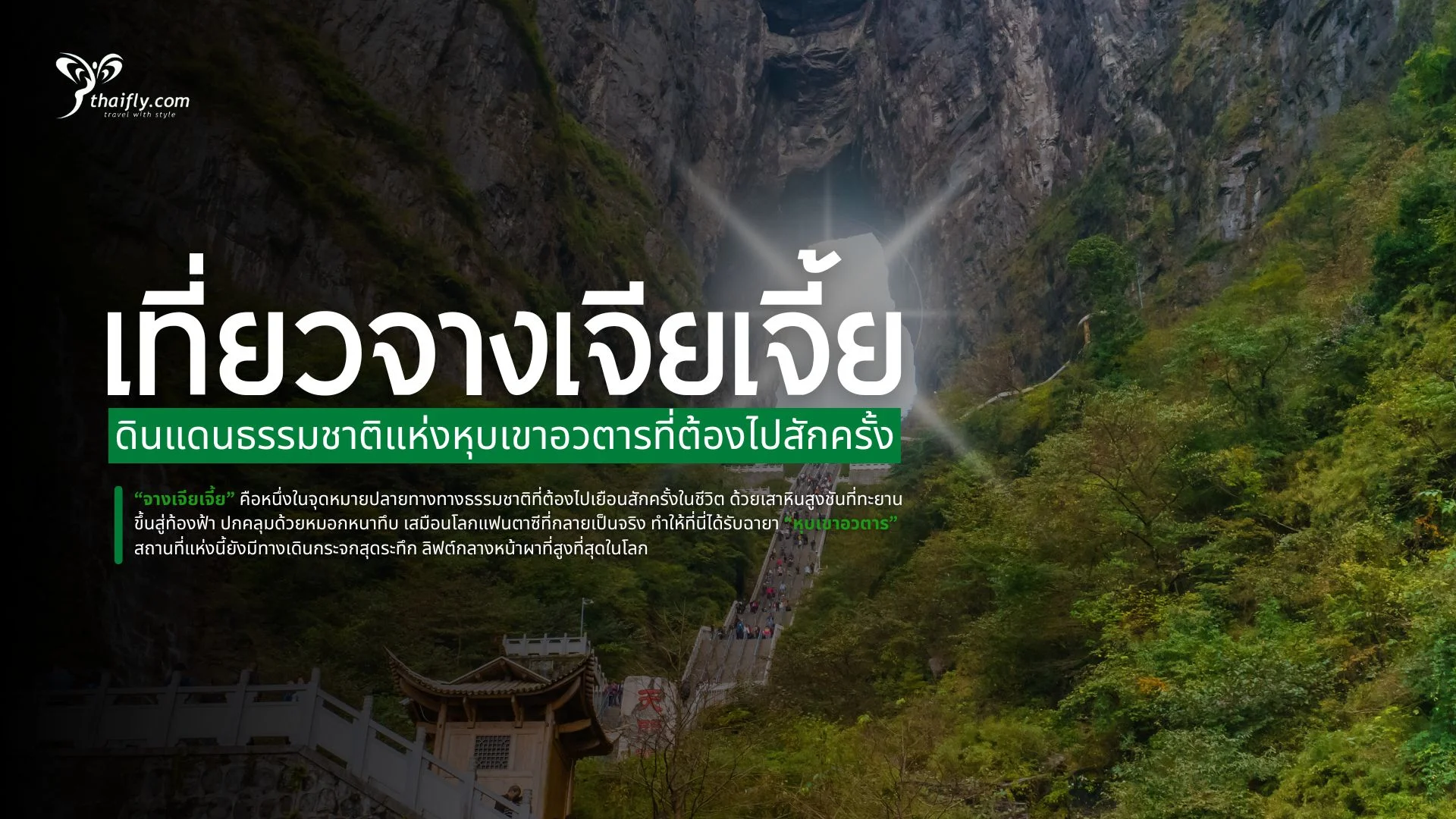 เที่ยวจางเจียเจี้ย ดินแดนธรรมชาติแห่งหุบเขาอวตารที่ต้องไปสักครั้ง