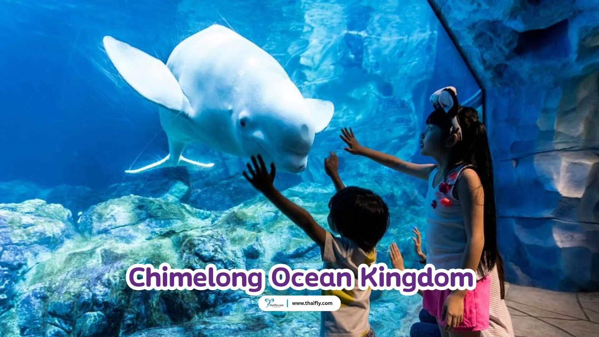 Chimelong Ocean Kingdom