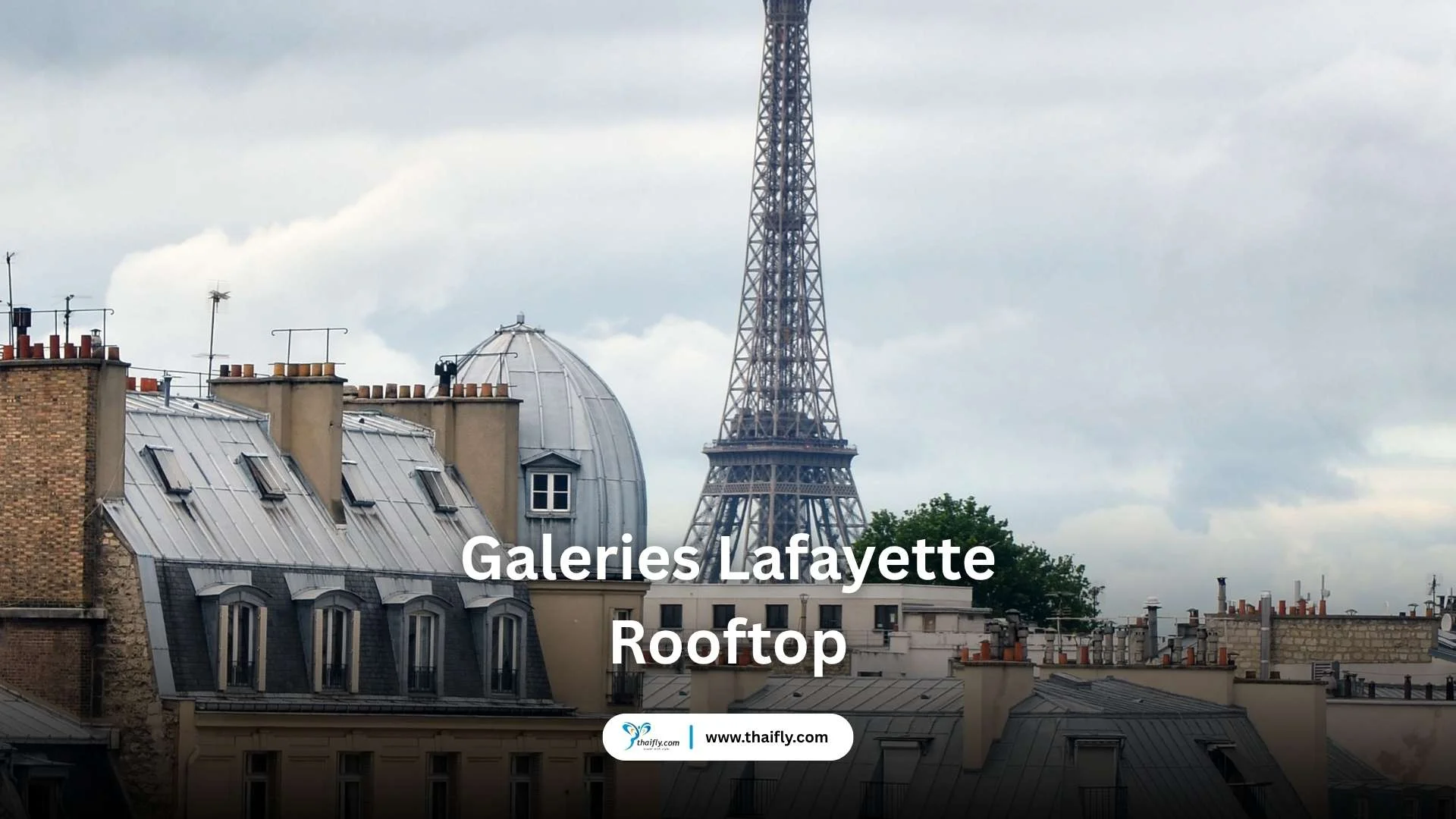 Galeries Lafayette Rooftop